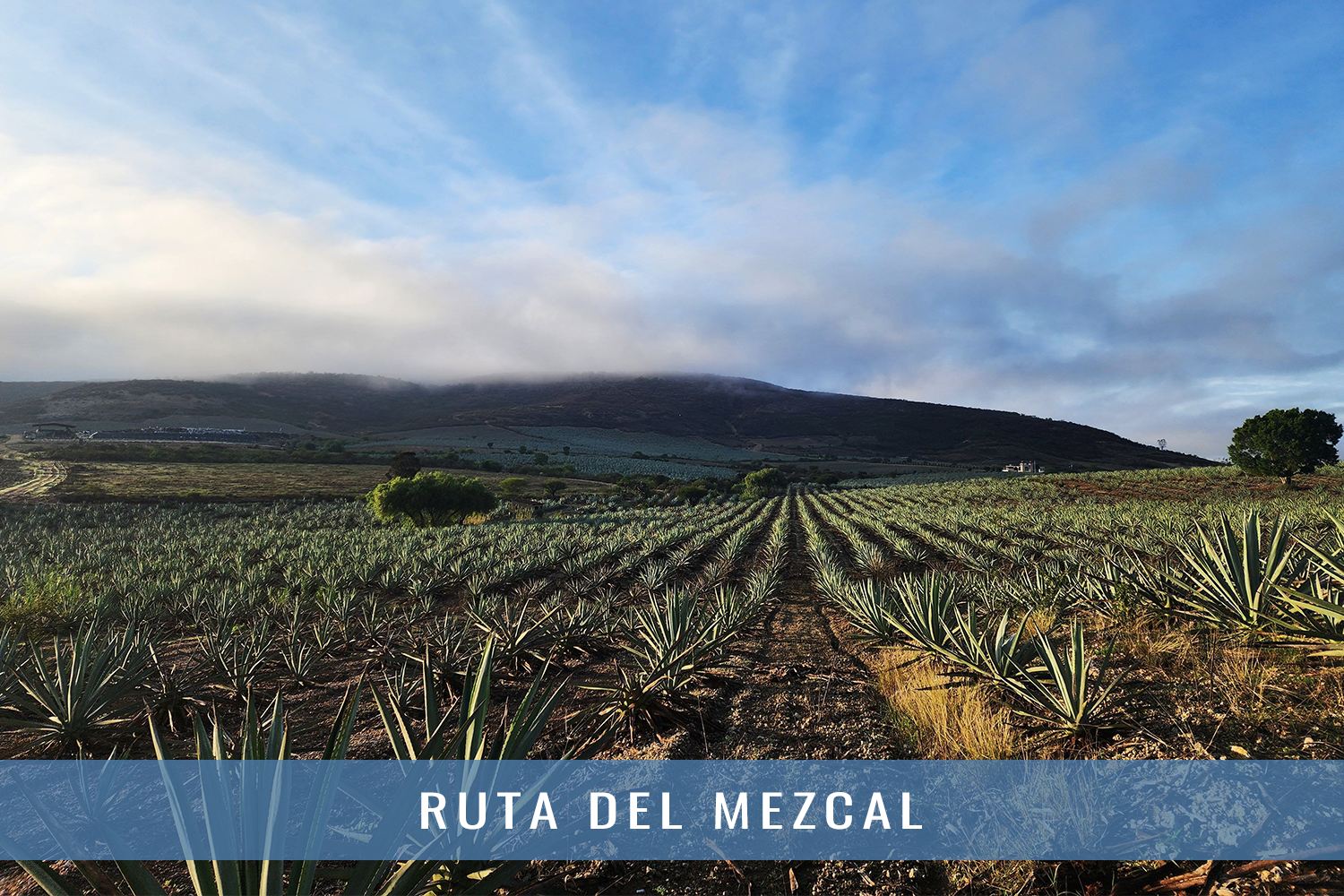 ruta_desktop